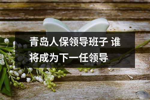 青岛人保领导班子 谁将成为下一任领导