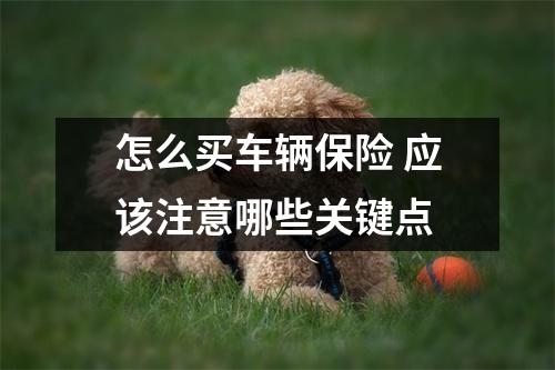 怎么买车辆保险 应该注意哪些关键点