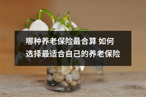 哪种养老保险最合算 如何选择最适合自己的养老保险
