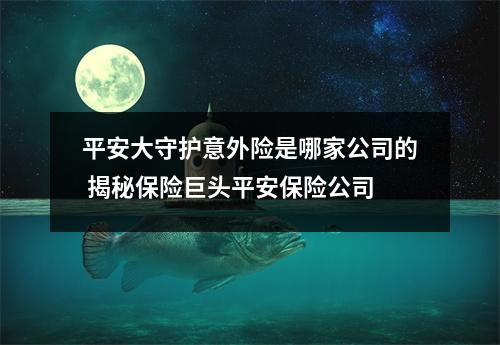 平安大守护意外险是哪家公司的 揭秘保险巨头平安保险公司
