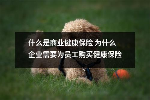 什么是商业健康保险 为什么企业需要为员工购买健康保险