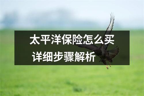 太平洋保险怎么买 详细步骤解析