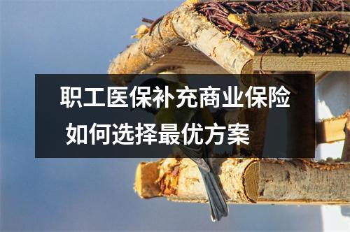 职工医保补充商业保险 如何选择最优方案