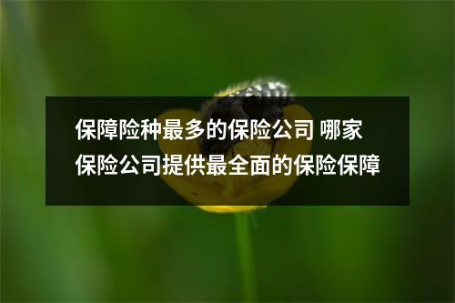 保障险种最多的保险公司 哪家保险公司提供最全面的保险保障