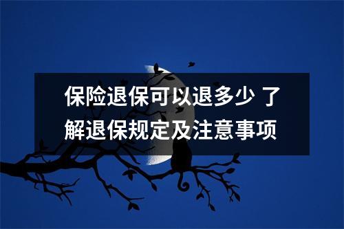 保险退保可以退多少 了解退保规定及注意事项
