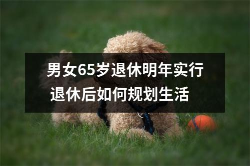 男女65岁退休明年实行 退休后如何规划生活