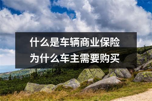 什么是车辆商业保险 为什么车主需要购买