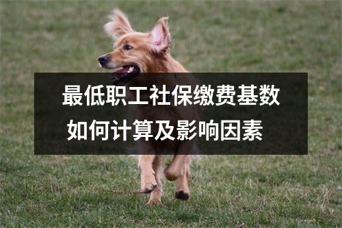 最低职工社保缴费基数 如何计算及影响因素