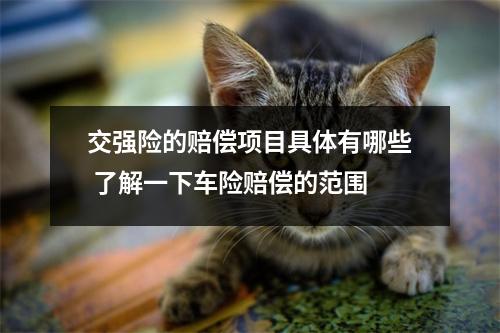 交强险的赔偿项目具体有哪些 了解一下车险赔偿的范围