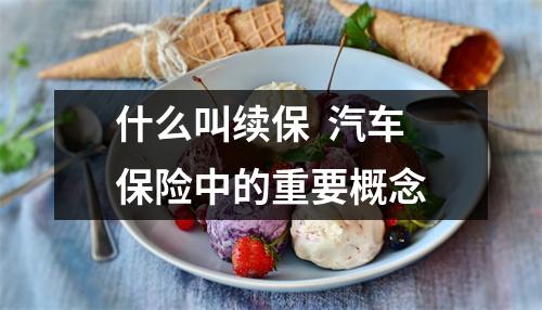 什么叫续保  汽车保险中的重要概念