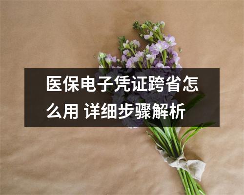 医保电子凭证跨省怎么用 详细步骤解析