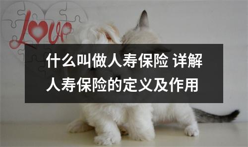 什么叫做人寿保险 详解人寿保险的定义及作用
