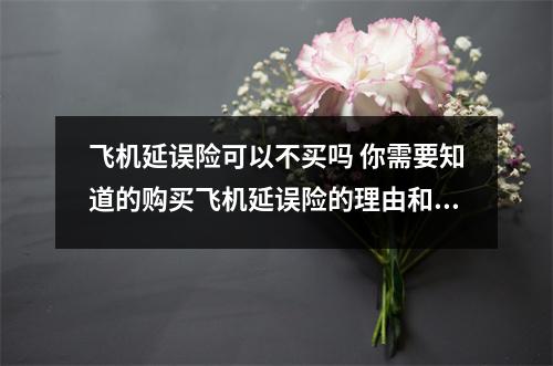 飞机延误险可以不买吗 你需要知道的购买飞机延误险的理由和注意事项