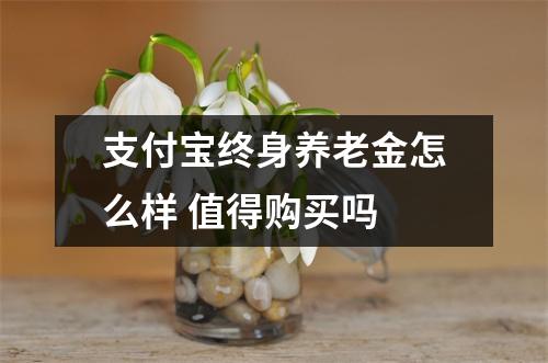 支付宝终身养老金怎么样 值得购买吗