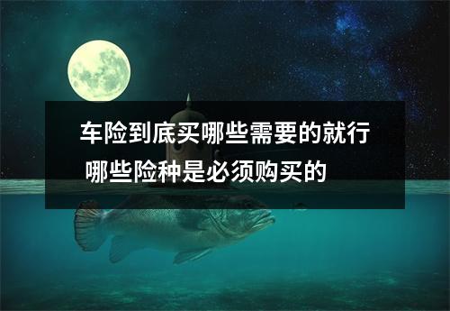 车险到底买哪些需要的就行 哪些险种是必须购买的 