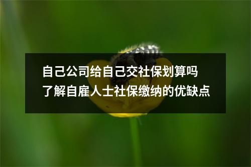 自己公司给自己交社保划算吗 了解自雇人士社保缴纳的优缺点