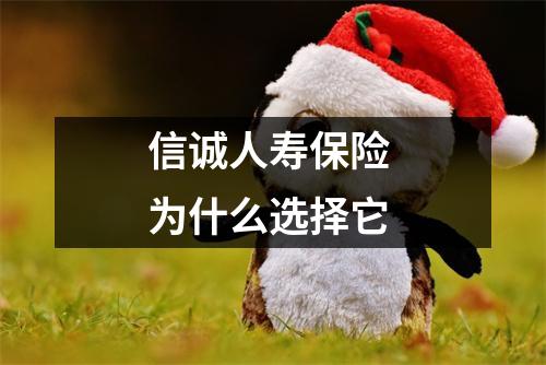 信诚人寿保险 为什么选择它 