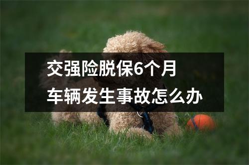 交强险脱保6个月 车辆发生事故怎么办
