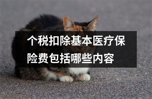 个税扣除基本医疗保险费包括哪些内容
