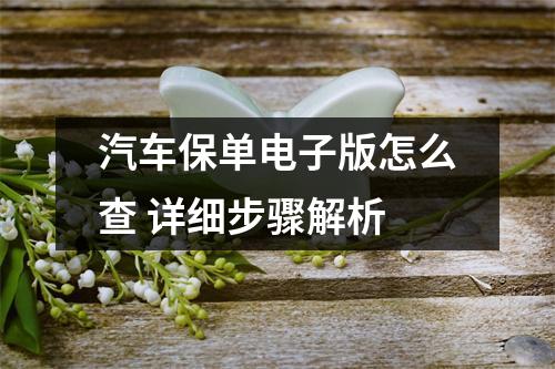汽车保单电子版怎么查 详细步骤解析