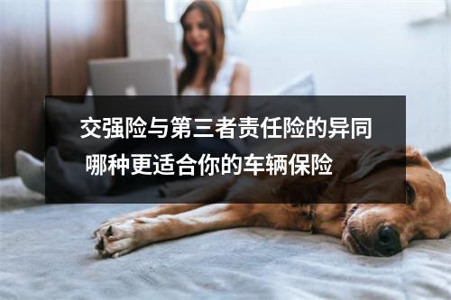 交强险与第三者责任险的异同 哪种更适合你的车辆保险
