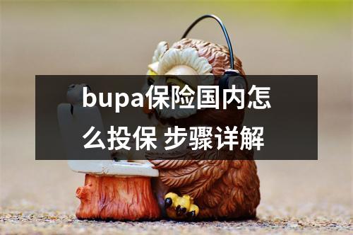 bupa保险国内怎么投保 步骤详解