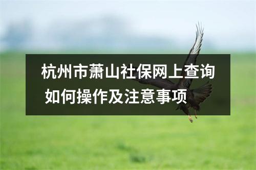 杭州市萧山社保网上查询 如何操作及注意事项