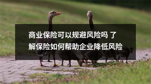 商业保险可以规避风险吗 了解保险如何帮助企业降低风险
