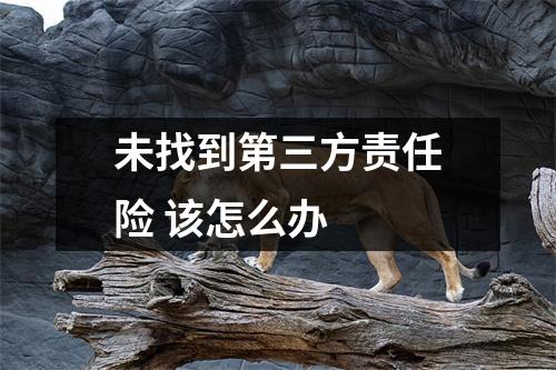 未找到第三方责任险 该怎么办 