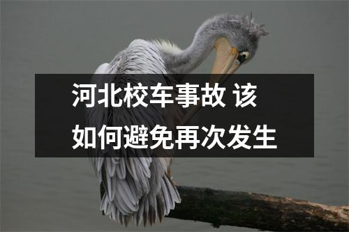 河北校车事故 该如何避免再次发生