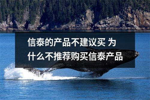 信泰的产品不建议买 为什么不推荐购买信泰产品