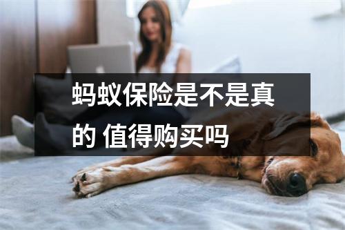 蚂蚁保险是不是真的 值得购买吗