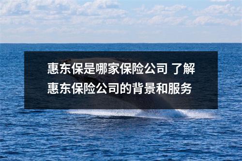 惠东保是哪家保险公司 了解惠东保险公司的背景和服务