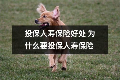 投保人寿保险好处 为什么要投保人寿保险 