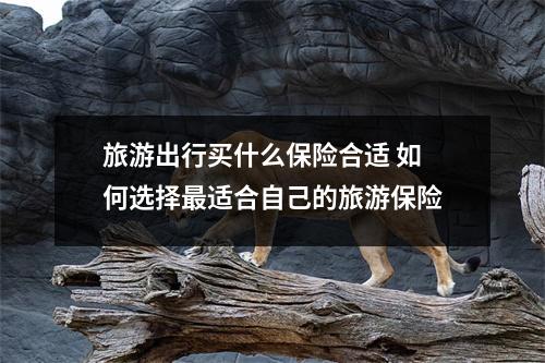 旅游出行买什么保险合适 如何选择最适合自己的旅游保险