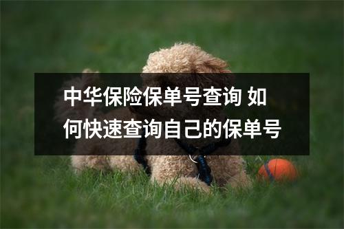 中华保险保单号查询 如何快速查询自己的保单号