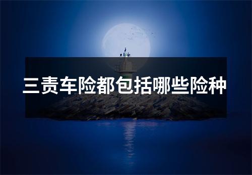 三责车险都包括哪些险种
