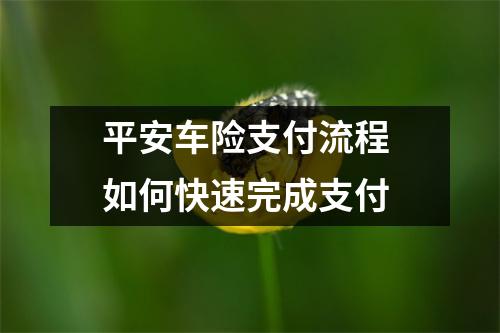 平安车险支付流程 如何快速完成支付