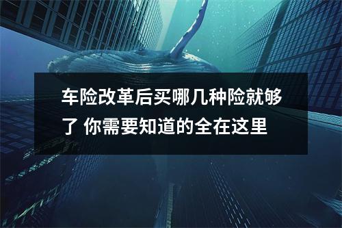 车险改革后买哪几种险就够了 你需要知道的全在这里