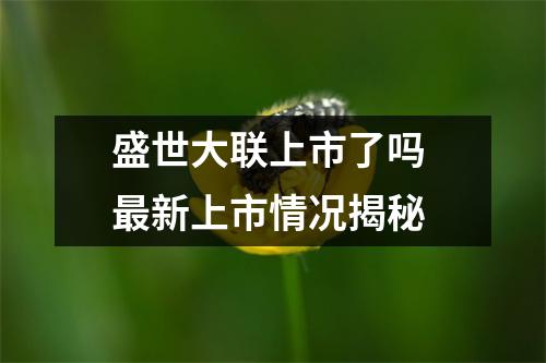 盛世大联上市了吗 最新上市情况揭秘