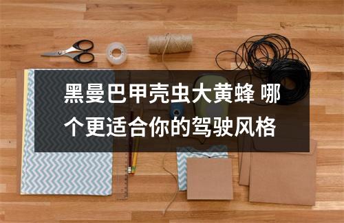 黑曼巴甲壳虫大黄蜂 哪个更适合你的驾驶风格