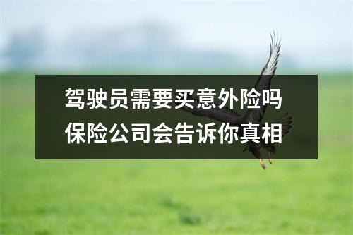 驾驶员需要买意外险吗 保险公司会告诉你真相