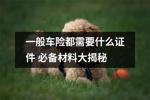 一般车险都需要什么证件 必备材料大揭秘