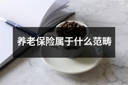 养老保险属于什么范畴