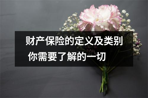 财产保险的定义及类别 你需要了解的一切