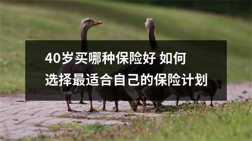40岁买哪种保险好 如何选择最适合自己的保险计划