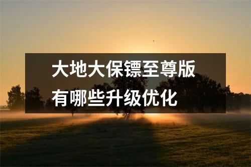 大地大保镖至尊版 有哪些升级优化 
