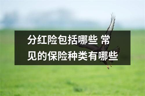 分红险包括哪些 常见的保险种类有哪些
