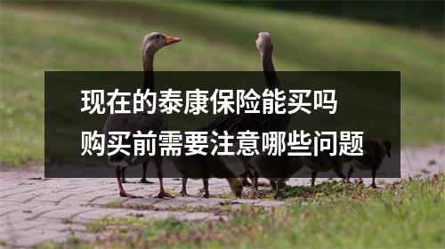 现在的泰康保险能买吗 购买前需要注意哪些问题