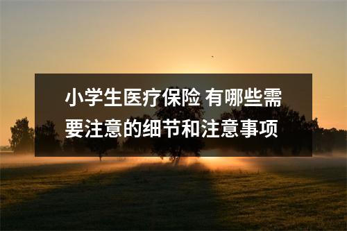 小学生医疗保险 有哪些需要注意的细节和注意事项